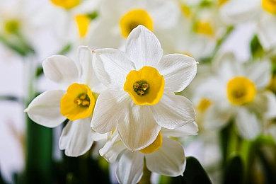 《夜影侠：重制版》NS版上线 明年1月17日发售